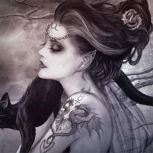 Alchemy Minnaloushe Moon Notebook 9 Pro 13in (2017) Skin